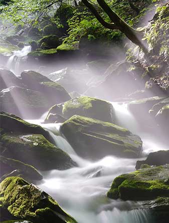 passion la nature