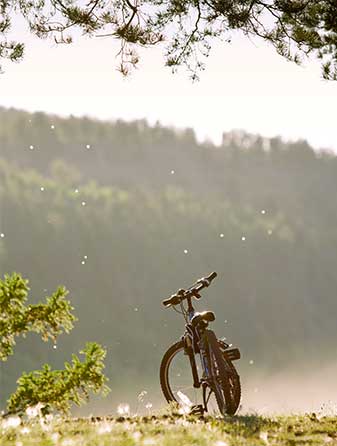 passion le vélo